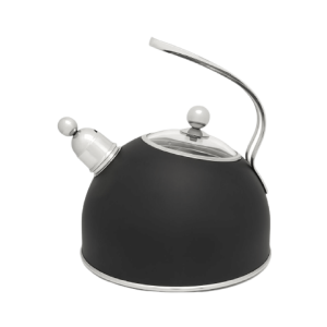 rvs fluitketel zwart